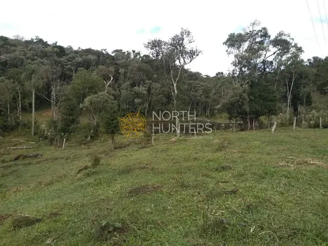 Chácara com 57430m² 3 quartos e 2 banheiros, à venda, no bairro Centro em Campo Alegre