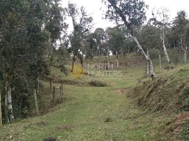 Chácara com 57430m² 3 quartos e 2 banheiros, à venda, no bairro Centro em Campo Alegre