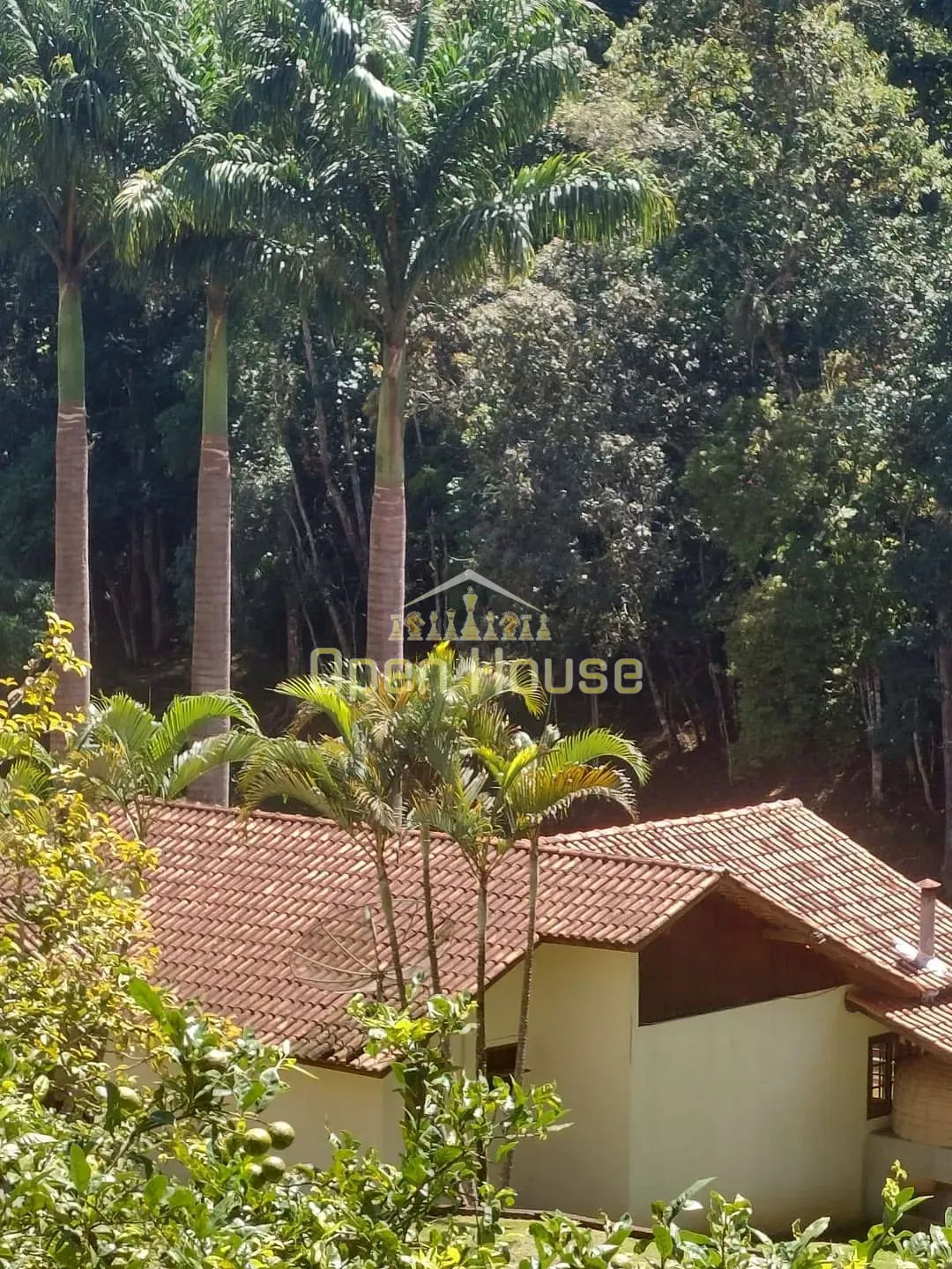 Sítio, 7 quartos, 3 hectares - Foto 42
