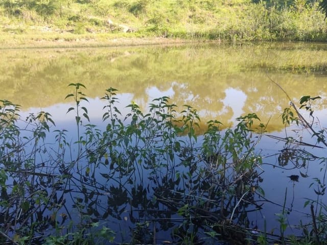 Foto do Chácara - Chácara com 4 dormitórios à venda, 1452000 m² por R$ 4.500.000,00 - Zona Rural - Jaraguá/GO | Portfolio Imóveis