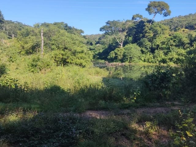 Foto do Chácara - Chácara com 4 dormitórios à venda, 1452000 m² por R$ 4.500.000,00 - Zona Rural - Jaraguá/GO | Portfolio Imóveis