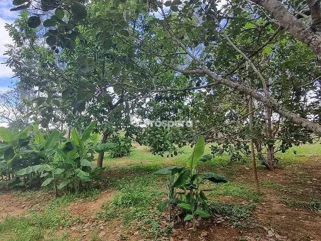 Chácara com 13600m² 11 quartos e 6 banheiros, à venda, no bairro Fazenda Quilombo em Vianópolis