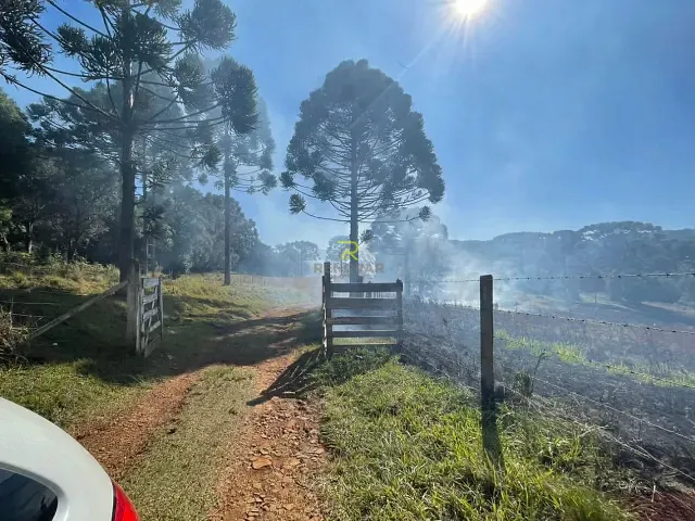 Chácara com 145200m² 3 quartos e 2 banheiros, à venda, no bairro Santa Cruz em Guarapuava