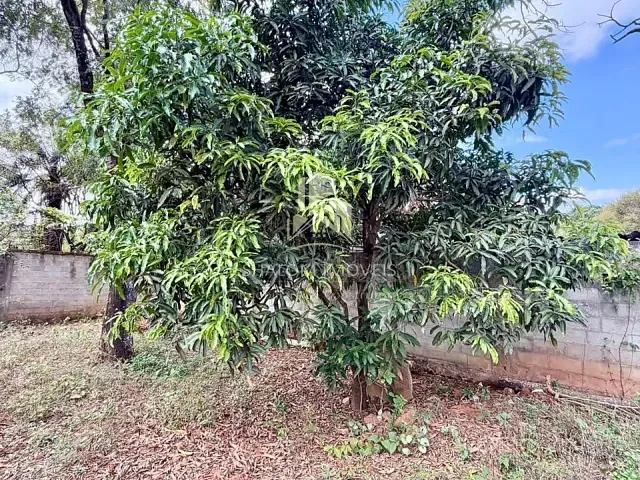 Chácara 4 quartos e 2 banheiros, à venda, no bairro Chácara Planalto em Contagem