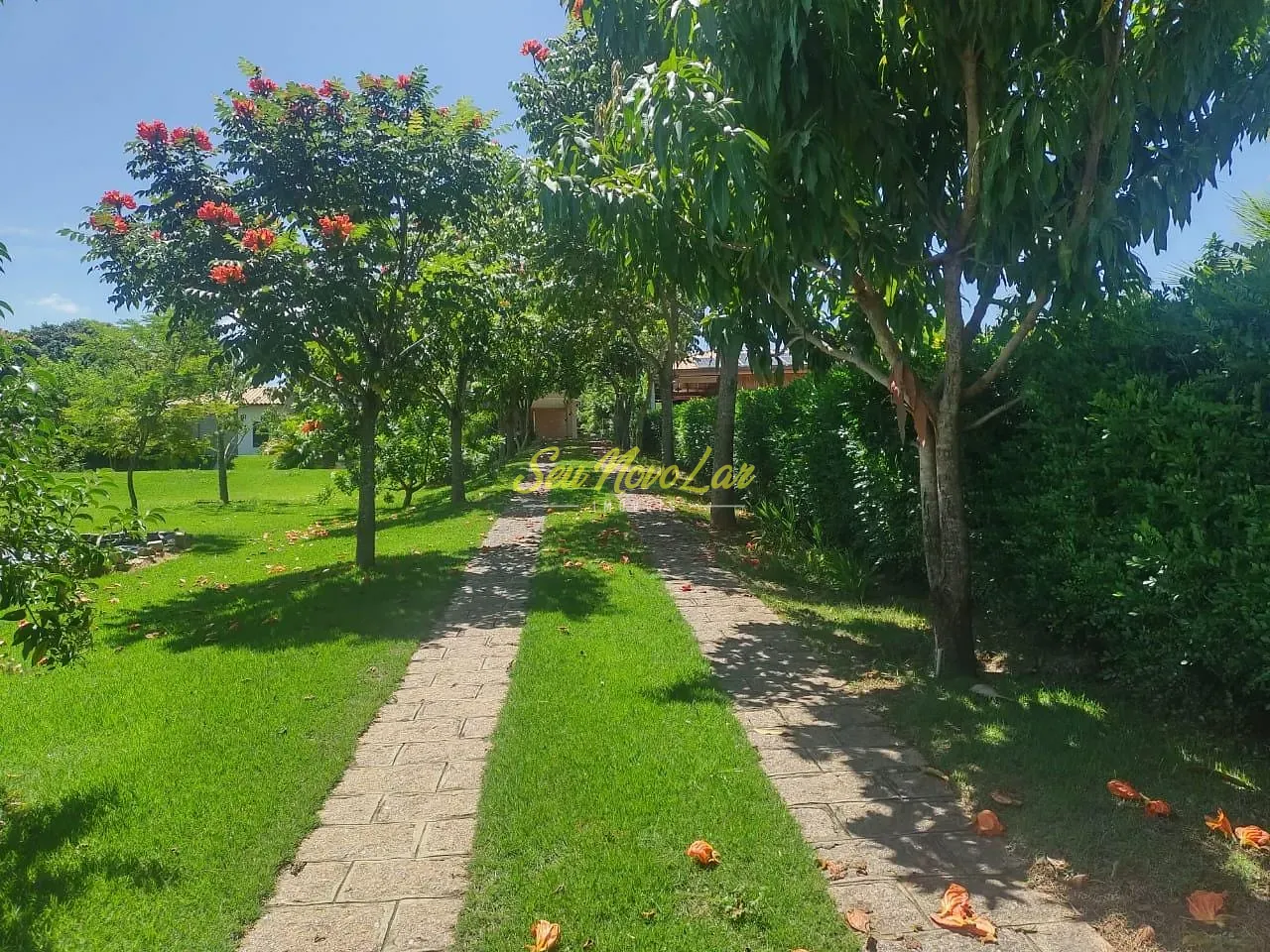 Chácara, 3 quartos, 10 m² - Foto 4