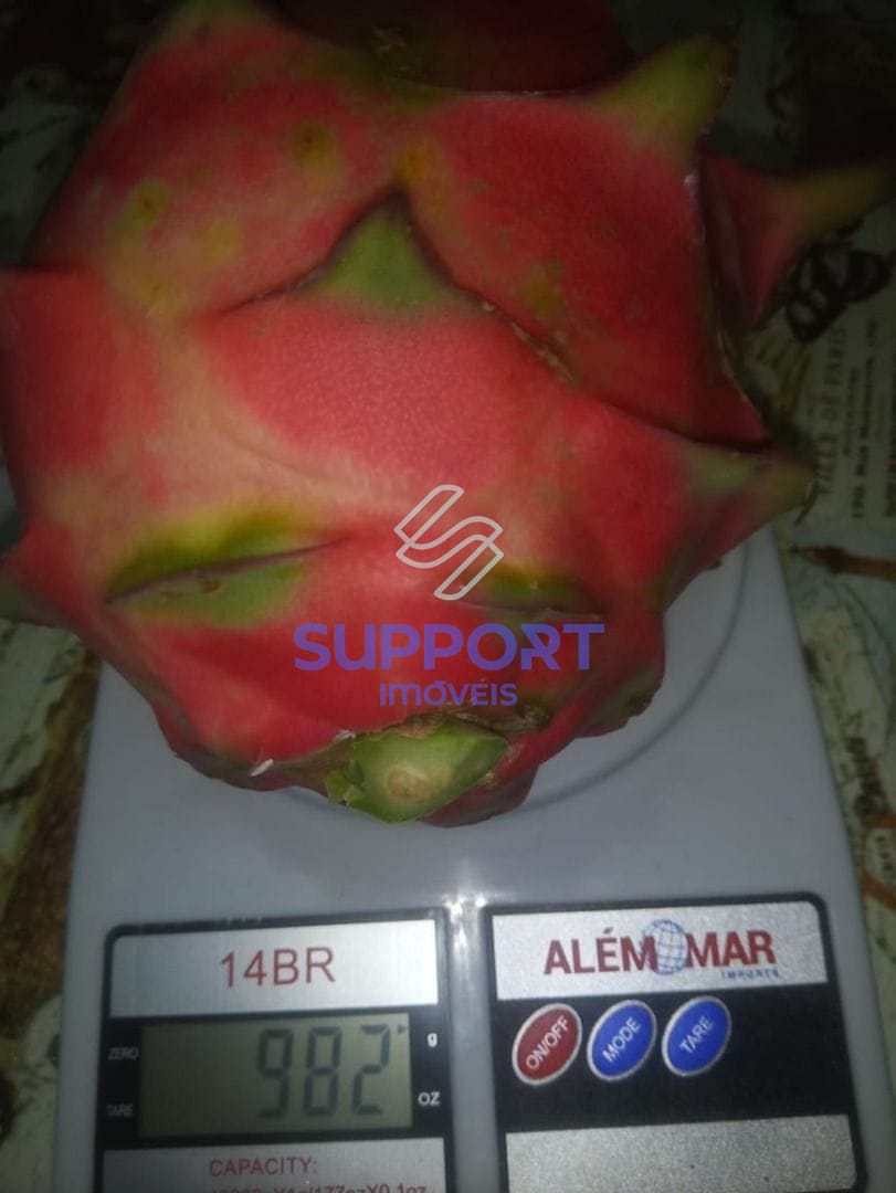 Chácara, 3 quartos, 5000 m² - Foto 21