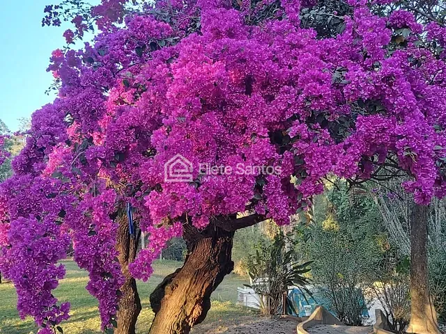 Chácara com 22480m² 6 quartos e 6 banheiros, à venda, no bairro Chácaras de Recreio Represa em Nova Odessa