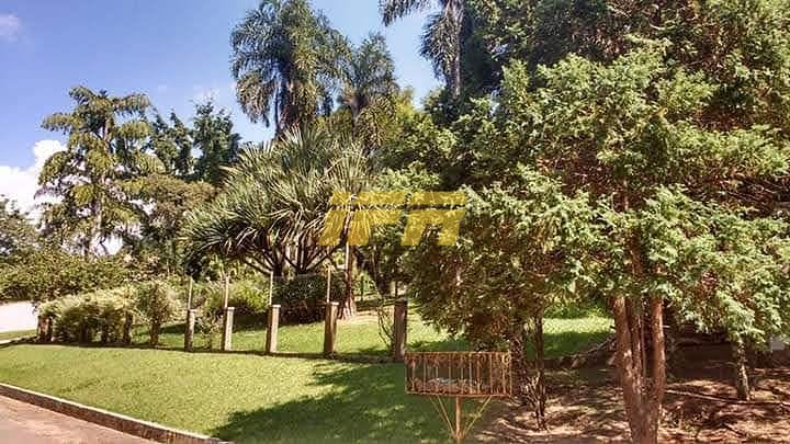 Chácara, 3 quartos, 5000 m² - Foto 2