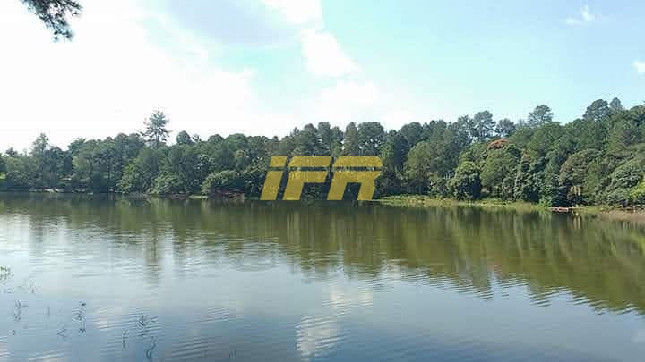 Chácara, 3 quartos, 5000 m² - Foto 1