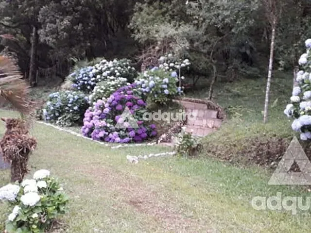 Chácara com 84000m², à venda, no bairro Centro em Itaiacoca (Ponta Grossa)