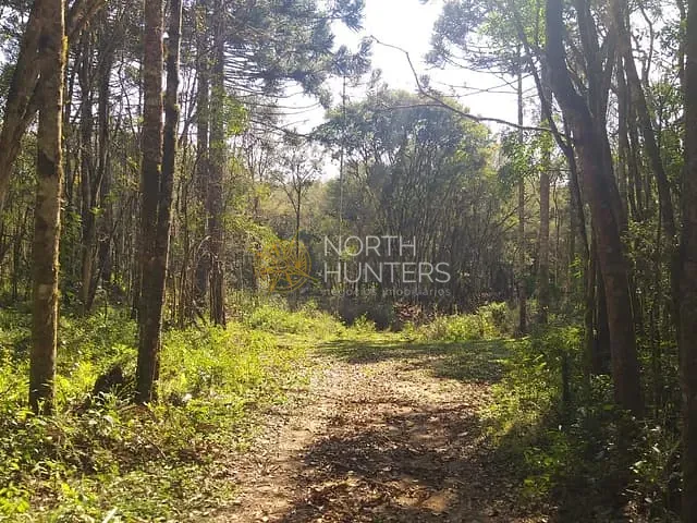 Chácara com 187082m² 1 quarto e 1 banheiro, à venda, no bairro Zona Rural em Campo Alegre