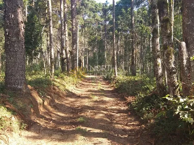 Chácara com 187082m² 1 quarto e 1 banheiro, à venda, no bairro Zona Rural em Campo Alegre