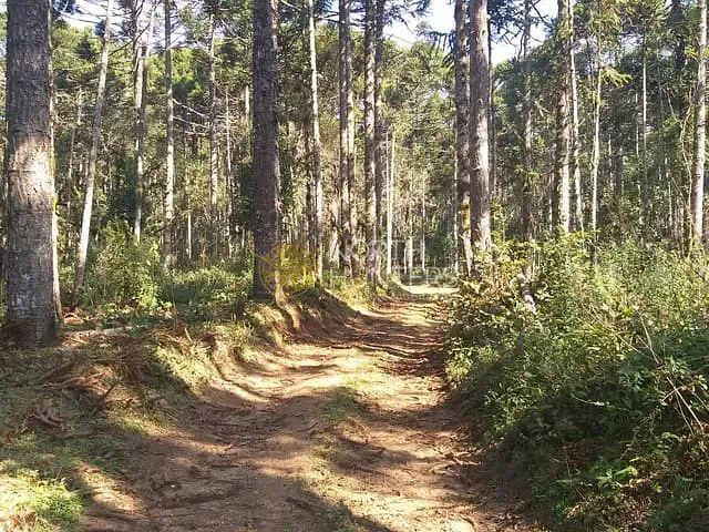 Chácara com 187082m² 1 quarto e 1 banheiro, à venda, no bairro Zona Rural em Campo Alegre