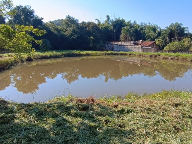 Chácara com 10000m², à venda, no bairro Recanto Rancho Ringo em Cambé