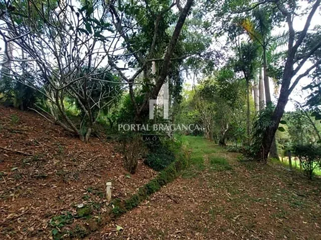Chácara com 15170m² 3 quartos e 2 banheiros, à venda, no bairro Lima em Pedra Bela