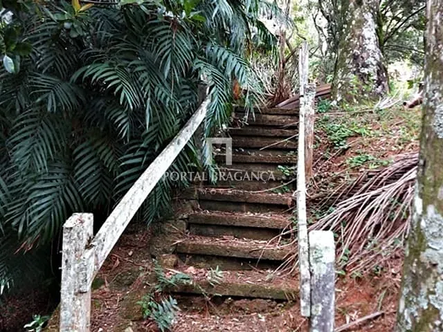 Chácara com 15170m² 3 quartos e 2 banheiros, à venda, no bairro Lima em Pedra Bela