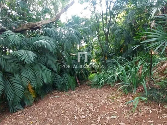 Chácara com 15170m² 3 quartos e 2 banheiros, à venda, no bairro Lima em Pedra Bela