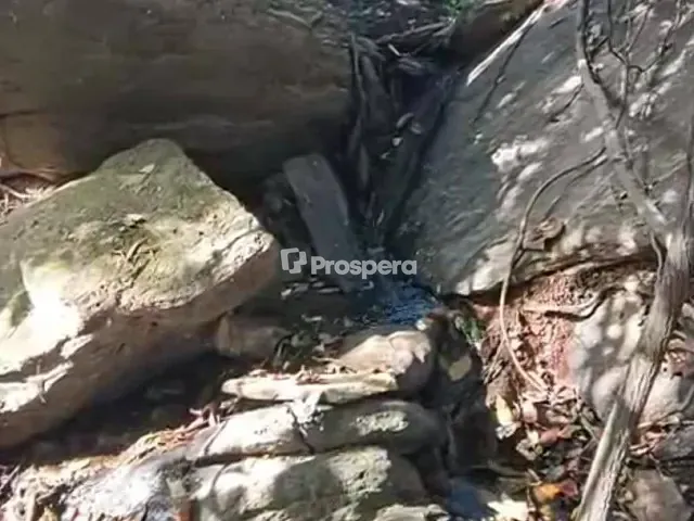 Chácara com 96800m² 3 quartos e 1 banheiro, à venda, no bairro zona rural em Pirenópolis
