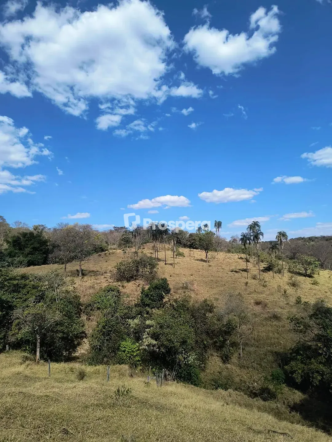 Sítio, 3 quartos, 10 hectares - Foto 1