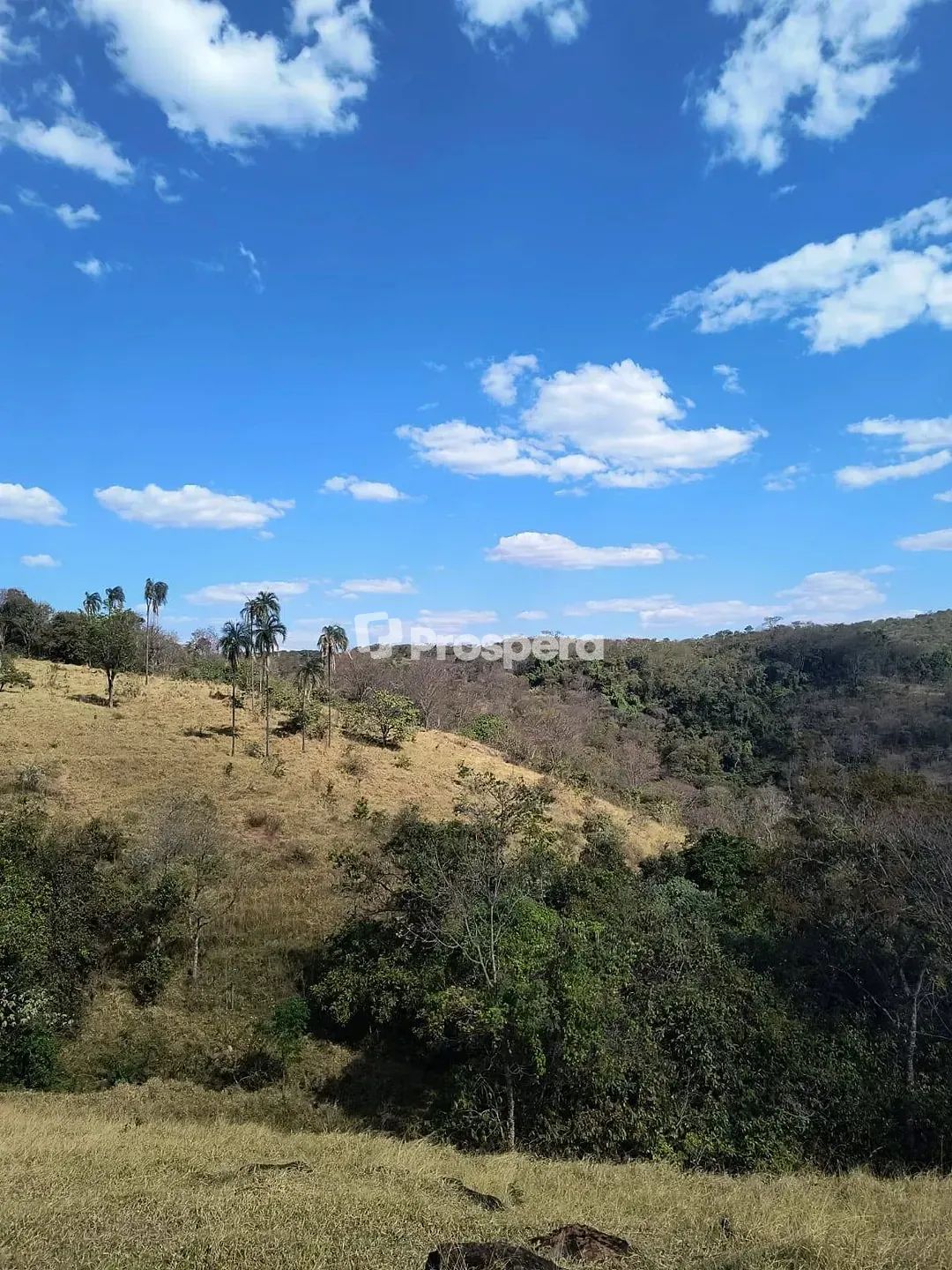 Sítio, 3 quartos, 10 hectares - Foto 13