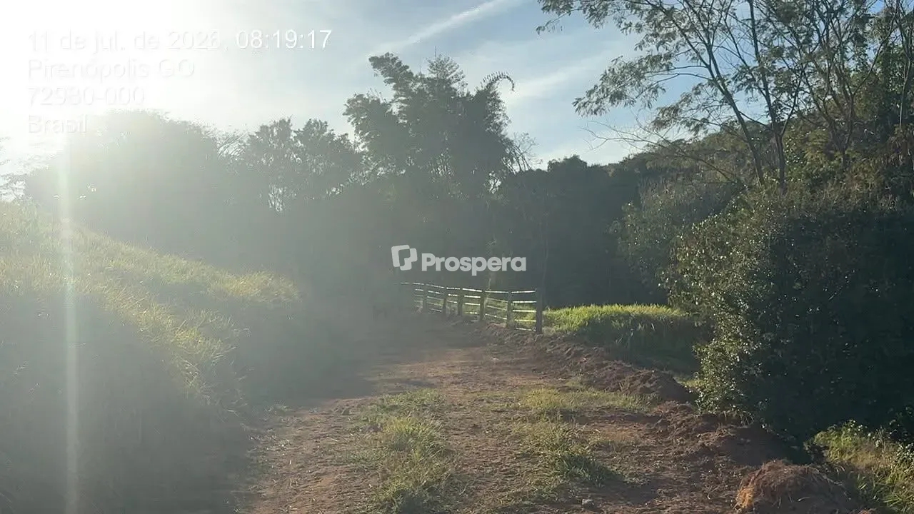 Sítio, 3 quartos, 10 hectares - Foto 3
