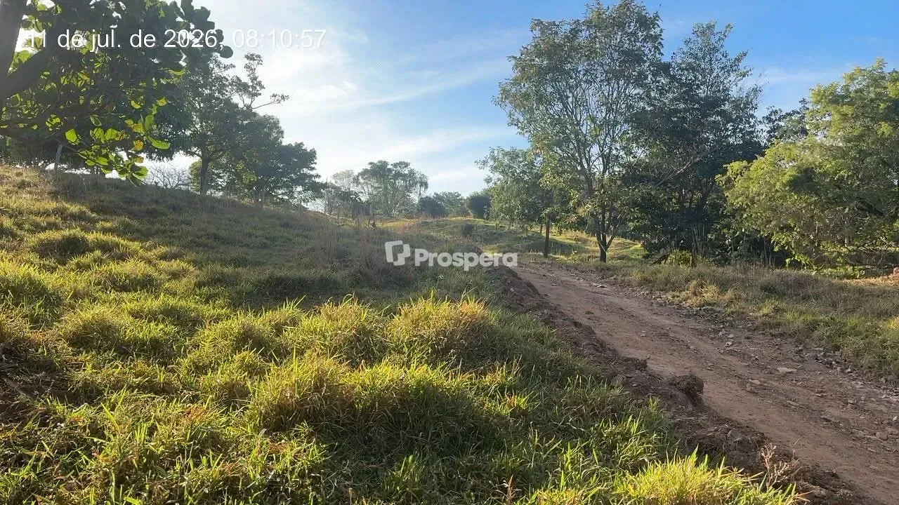 Sítio, 3 quartos, 10 hectares - Foto 4