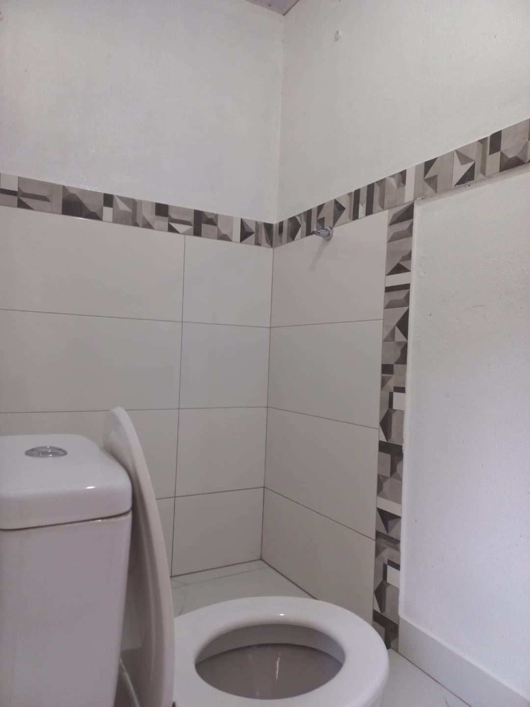 Chácara à venda 1 Vaga, Zona Rural, RIO POMBA - MG - foto 17