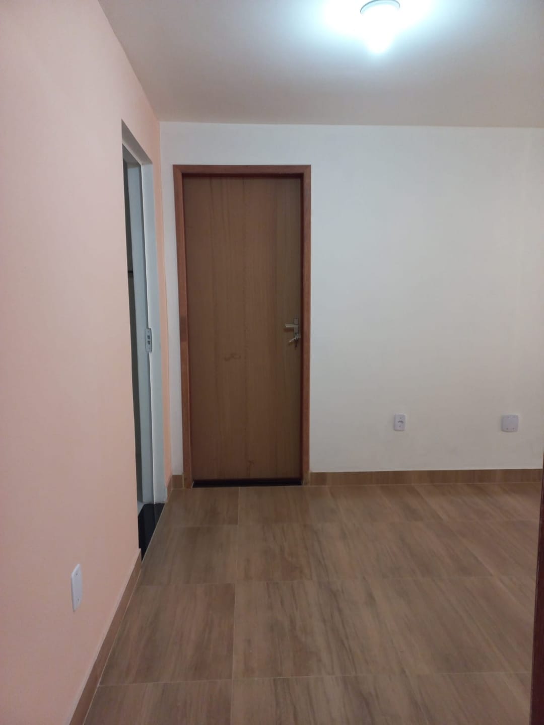 Chácara à venda 1 Vaga, Zona Rural, RIO POMBA - MG - foto 28