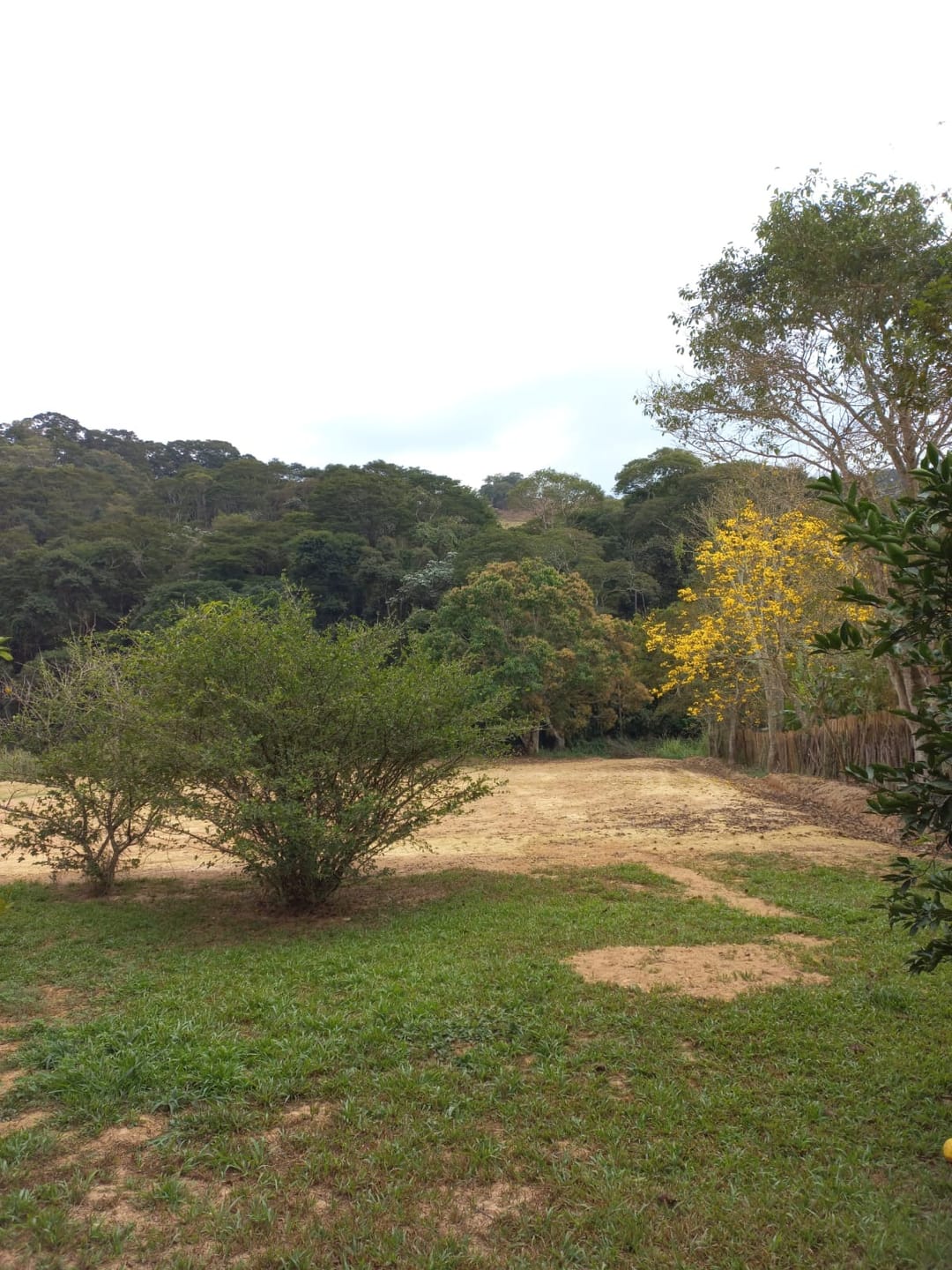 Chácara à venda 1 Vaga, Zona Rural, RIO POMBA - MG - foto 35
