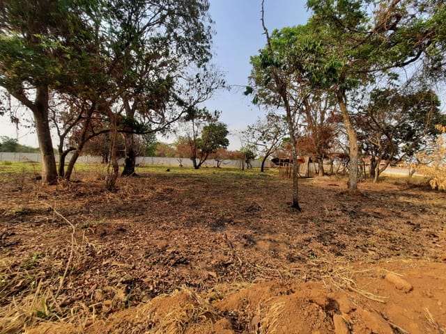 Chácara à venda, 239, Aragoiânia, GO