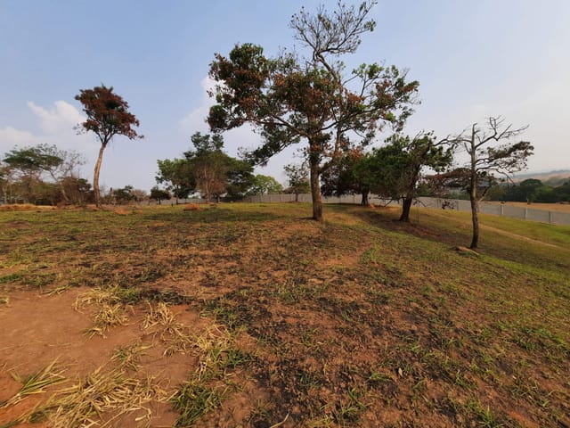 Chácara à venda, 239, Aragoiânia, GO