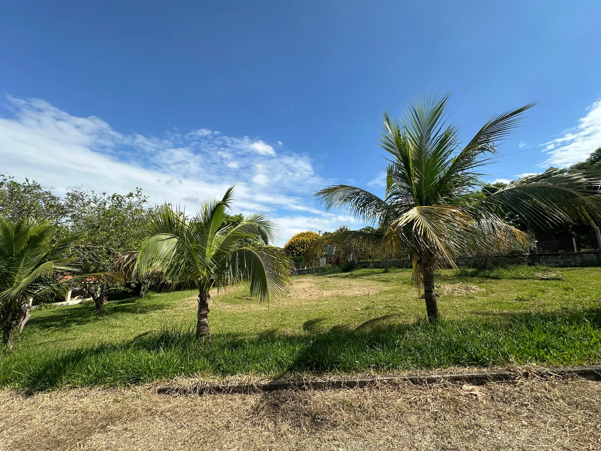 Chácara, 2 quartos, 5000 m² - Foto 9