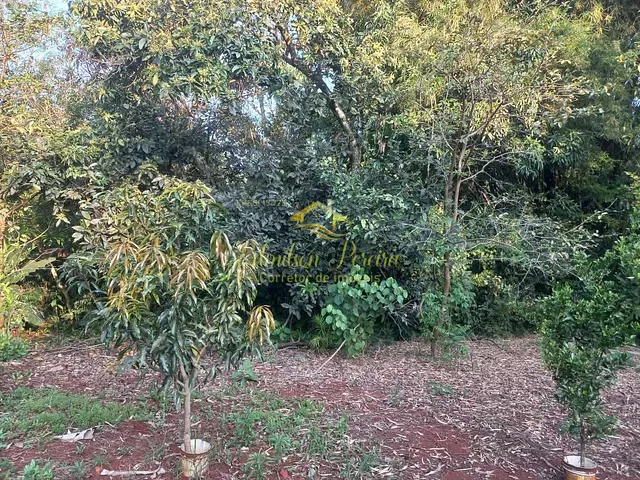 Chácara com 3670m² 3 quartos e 1 banheiro, à venda, no bairro Rui Barbosa em Londrina