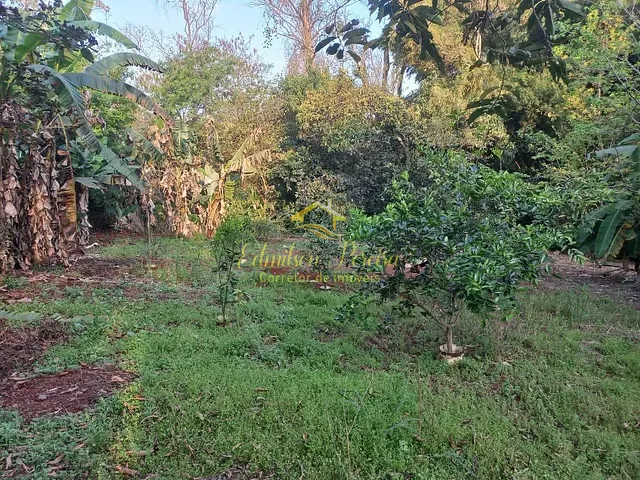 Chácara com 3670m² 3 quartos e 1 banheiro, à venda, no bairro Rui Barbosa em Londrina