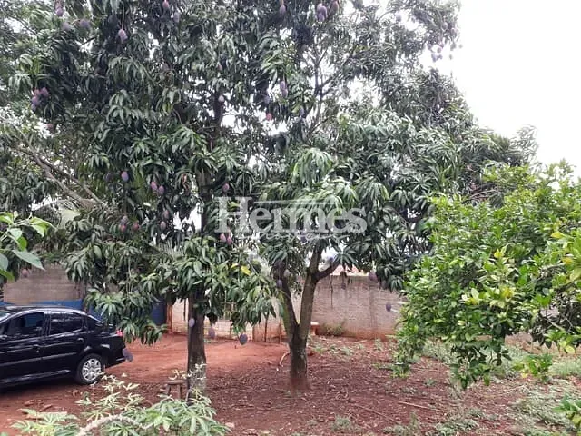 Chácara com 2000m² 3 quartos e 2 banheiros, à venda, no bairro Parque Residencial das Andorinhas em Cosmópolis