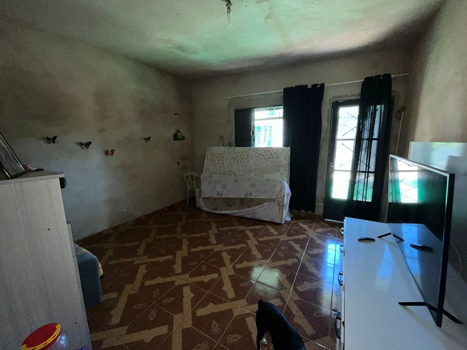 Chácara, 2 quartos, 625 m² - Foto 6