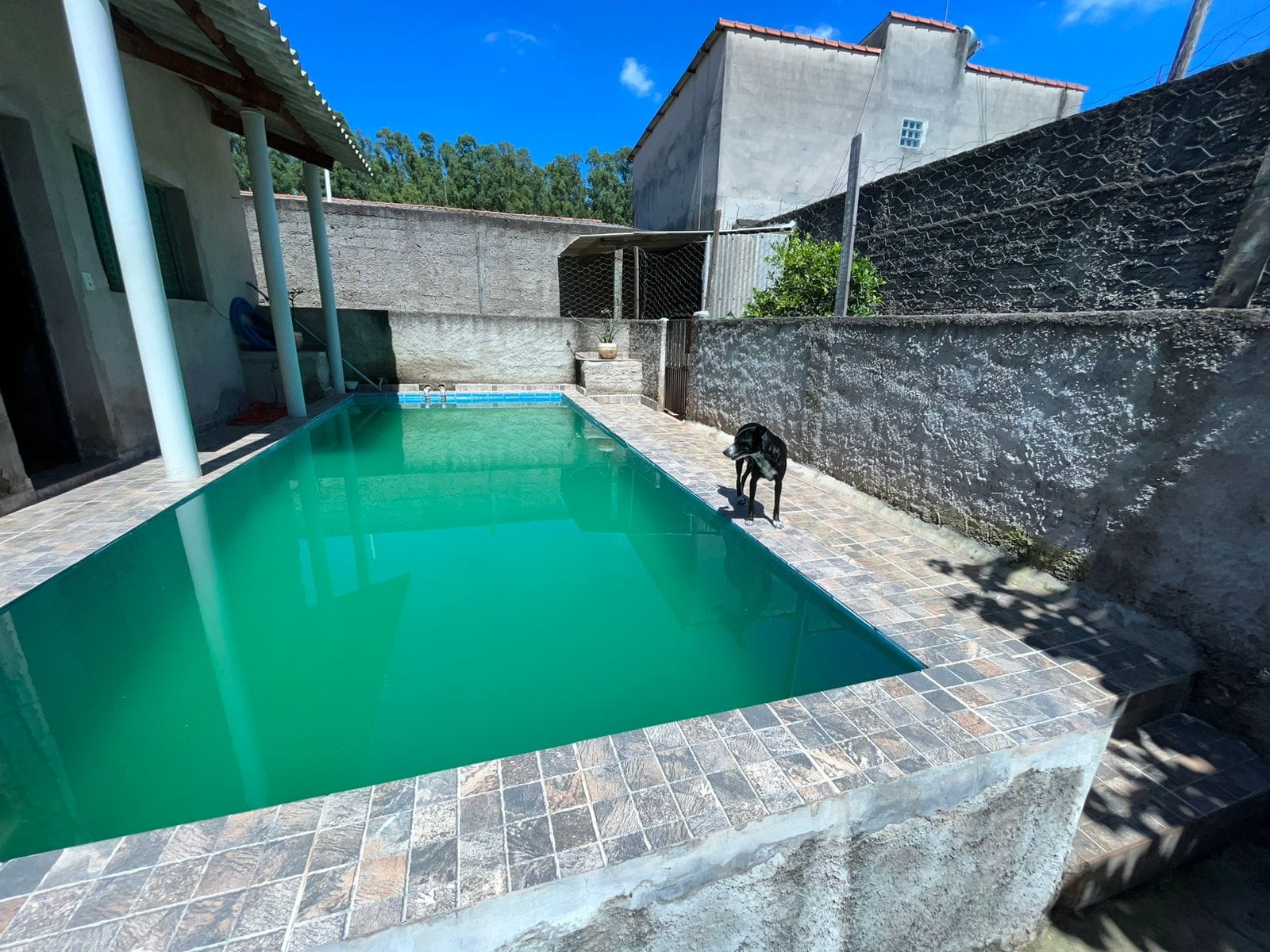 Chácara, 2 quartos, 625 m² - Foto 3