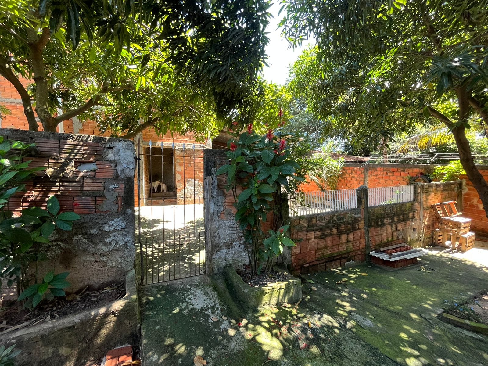 Chácara, 2 quartos, 625 m² - Foto 16