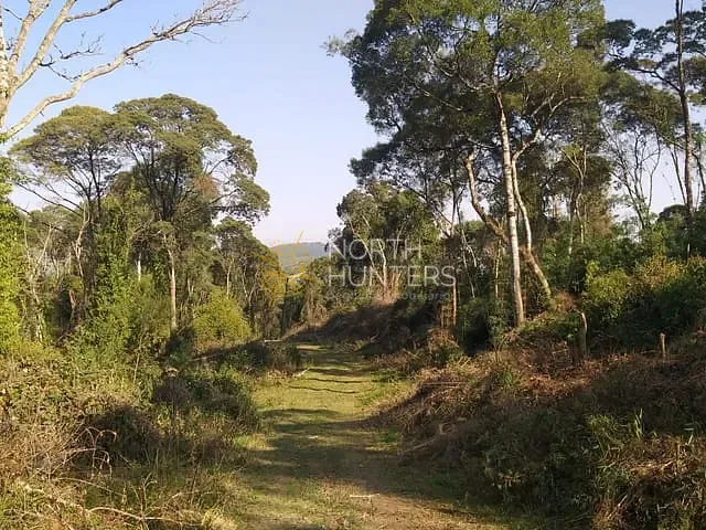 Chácara com 289807m² 1 quarto e 1 banheiro, à venda, no bairro Centro em Campo Alegre