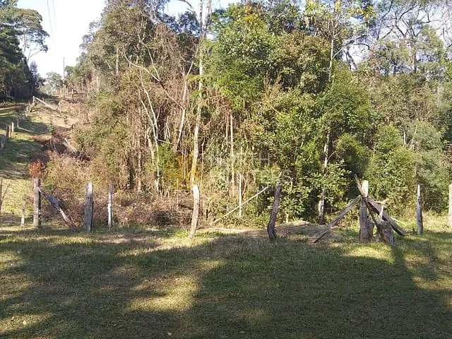 Chácara com 289807m² 1 quarto e 1 banheiro, à venda, no bairro Centro em Campo Alegre