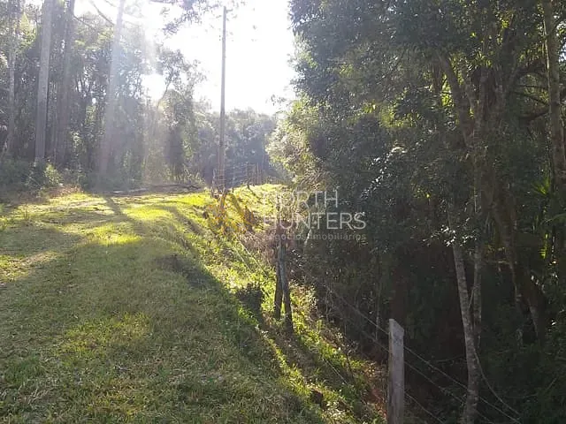 Chácara com 289807m² 1 quarto e 1 banheiro, à venda, no bairro Centro em Campo Alegre