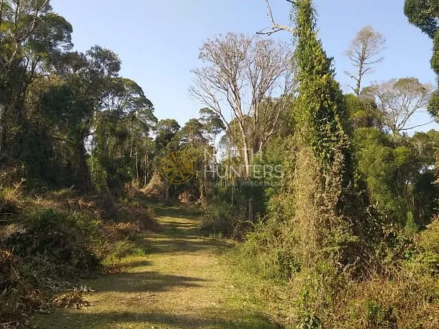 Chácara com 289807m² 1 quarto e 1 banheiro, à venda, no bairro Centro em Campo Alegre