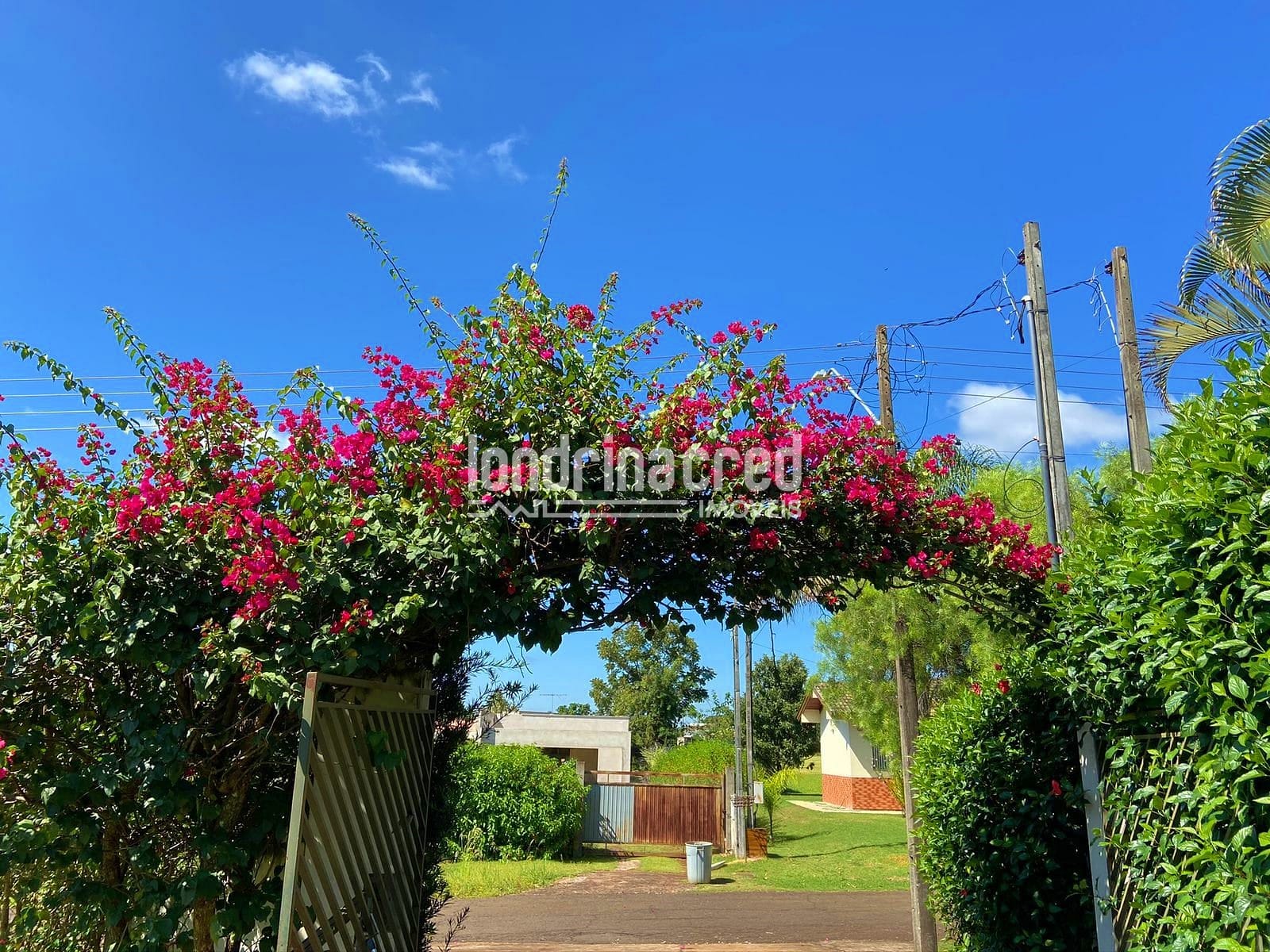 Sítio, 1 quarto, 2500 m² - Foto 3