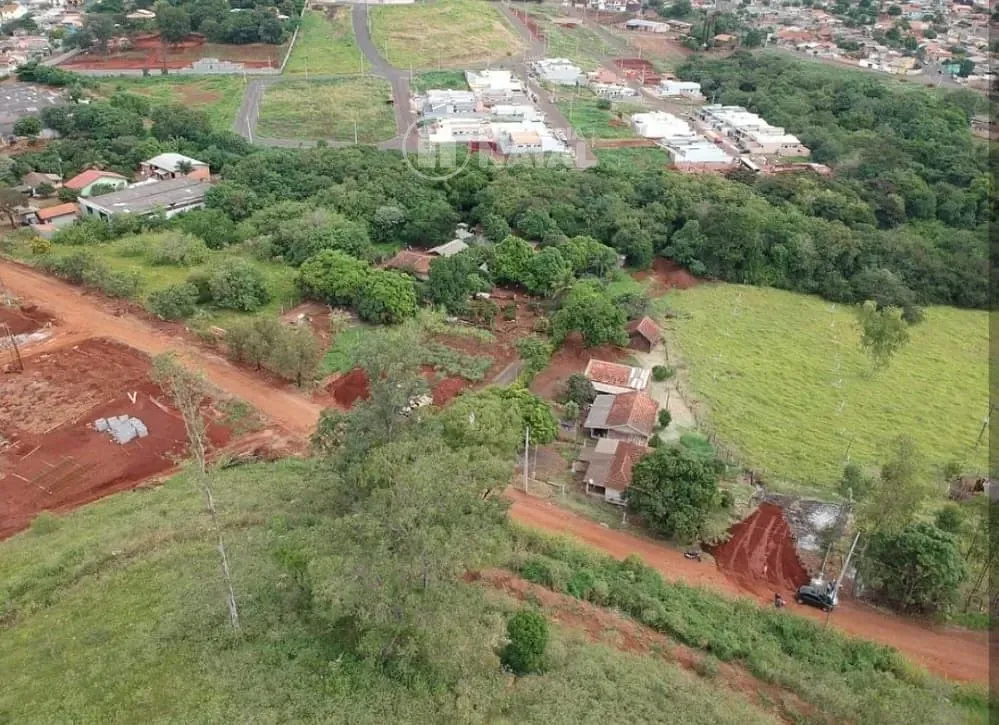 Sítio, 2 quartos, 4488 m² - Foto 3