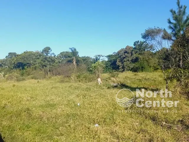 Chácara com 4482m², à venda, no bairro Pinheiros em Balneário Barra do Sul