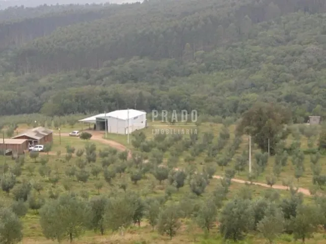 Chácara com 233000m² 5 quartos e 5 banheiros, à venda, no bairro Douradilho em Barra do Ribeiro
