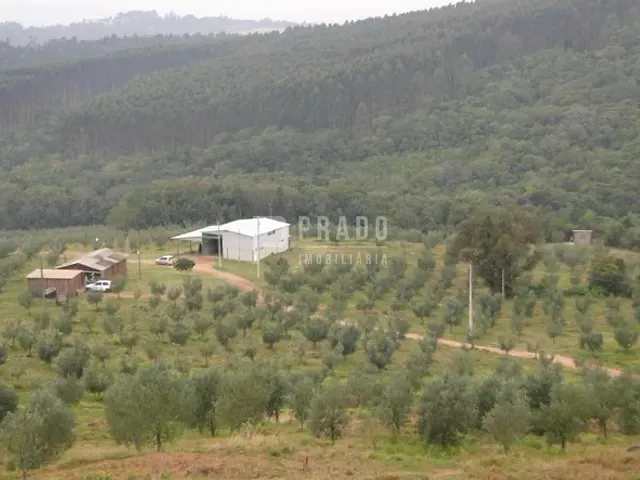 Chácara com 233000m² 5 quartos e 5 banheiros, à venda, no bairro Douradilho em Barra do Ribeiro