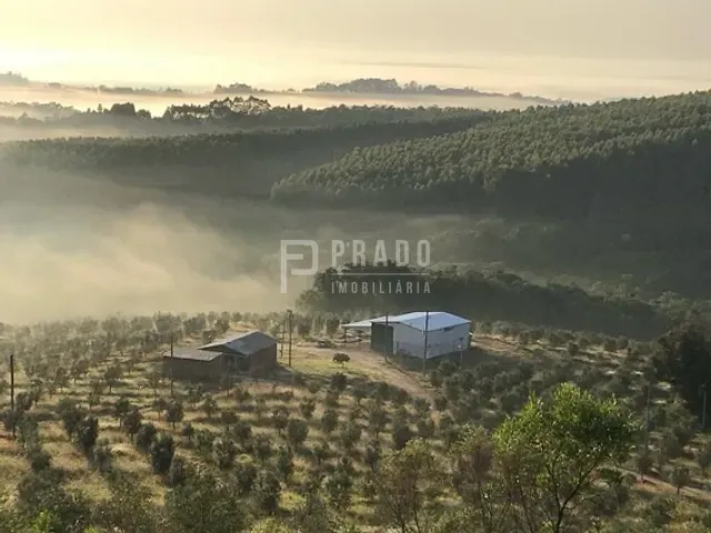 Chácara com 233000m² 5 quartos e 5 banheiros, à venda, no bairro Douradilho em Barra do Ribeiro