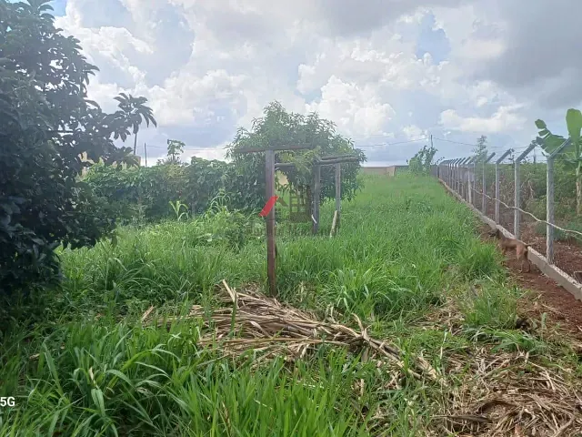 Chácara com 2030m², à venda, no bairro colonia esperança em Arapongas