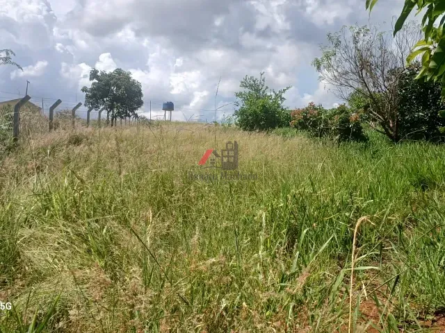 Chácara com 2030m², à venda, no bairro colonia esperança em Arapongas